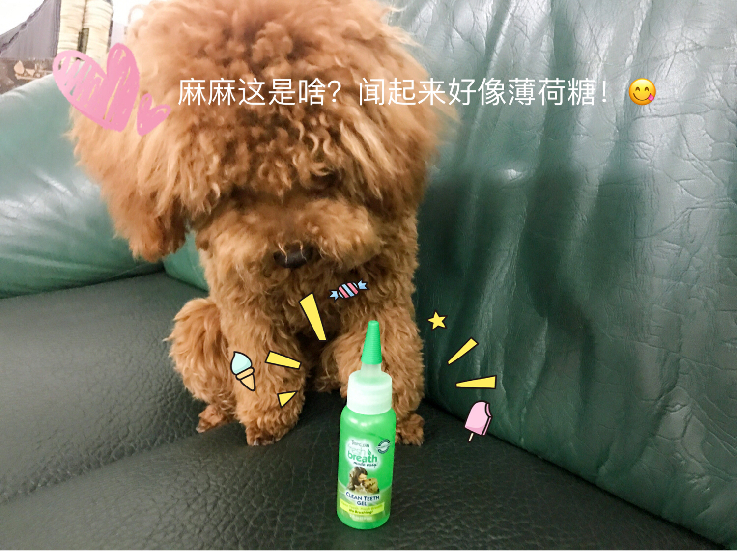 图片1