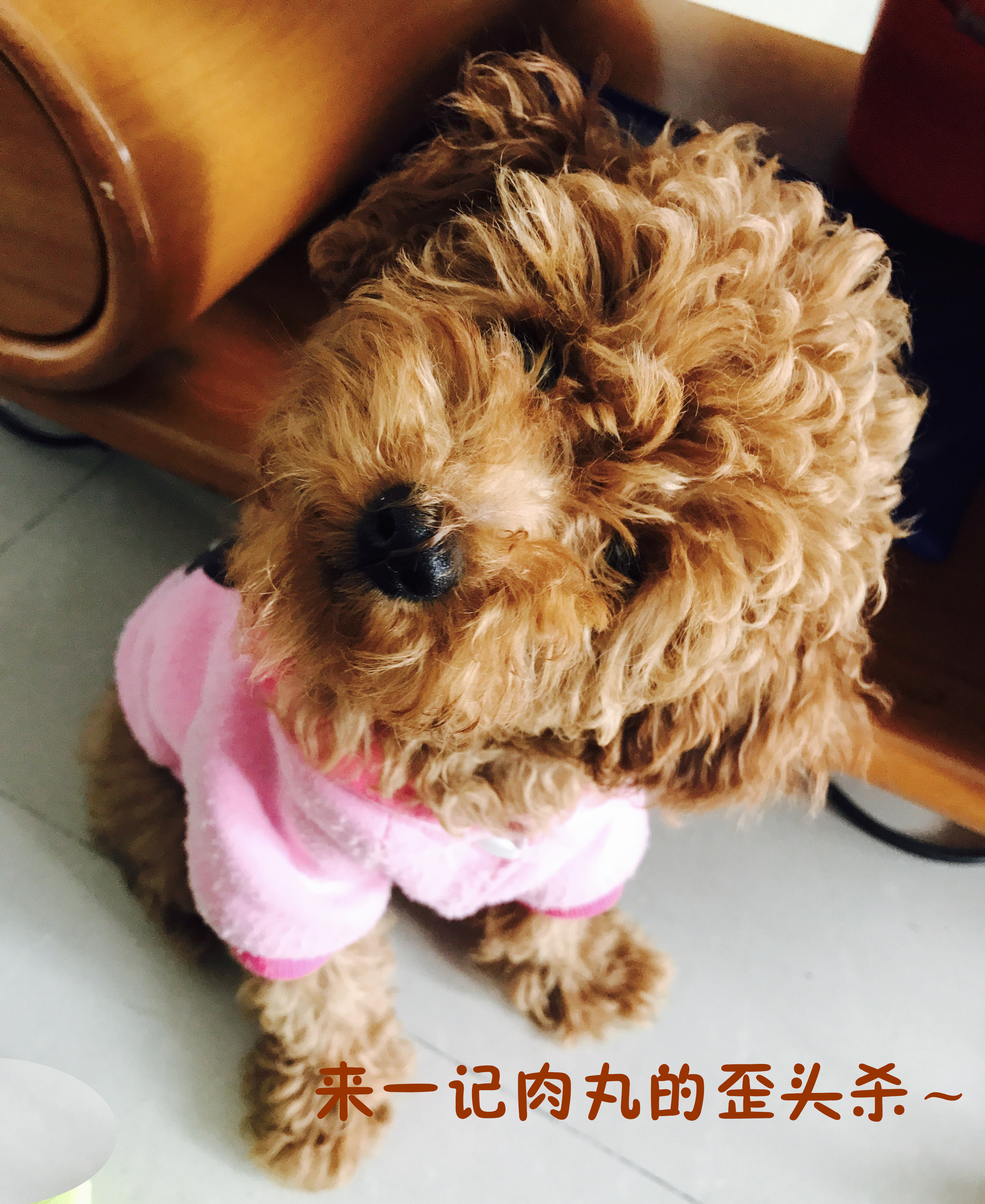 图片1