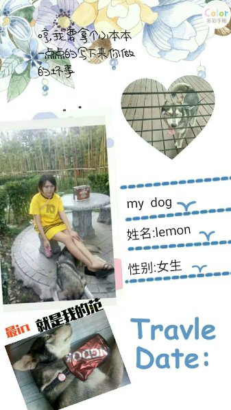 图片1