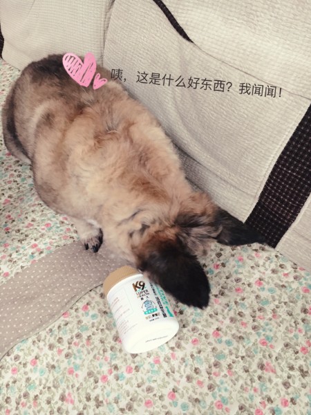图片1