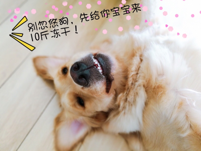 图片1