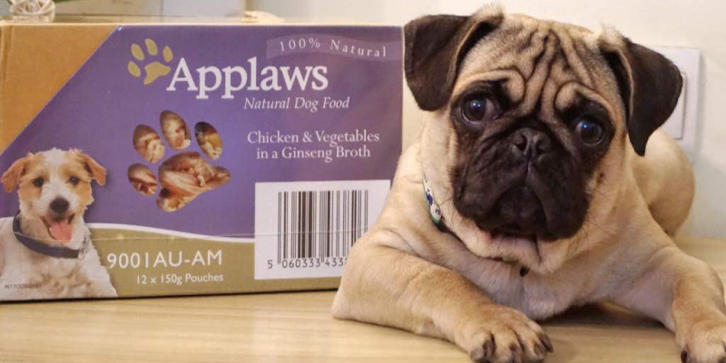Most Sentiment Dog Food Companion