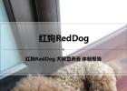 Red Dog Dog Nutrition Paste Experience Report