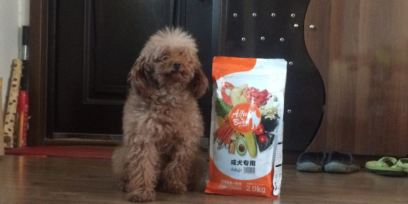 Home Has Two Dogs, How to Choose Dog Food Comprehensive Supplement Nutrition?