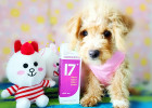 Disinfect, Sterilize, Deodorize Three-in-one Disinfectant Finally Found by Me!