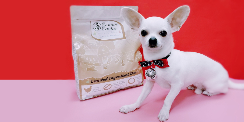 Alkaline Dog Food Really Has Anti-cancer Effect?