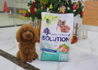 Buddhist Poop Scooper Tell You: Super Natural Low-sensitivity Dog Food Is What Look~