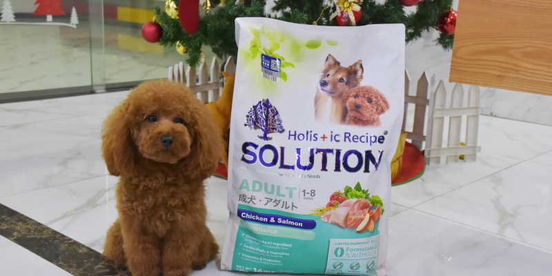 Buddhist Poop Scooper Tell You: Super Natural Low-sensitivity Dog Food Is What Look~