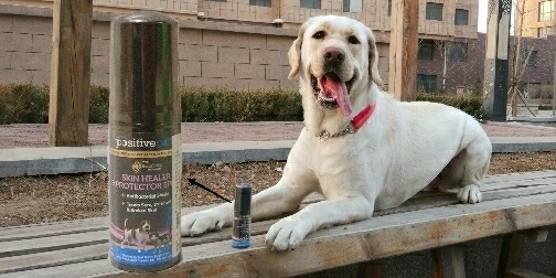 Real Human Test 0 Irritation Pet Skin Care Product Share