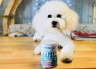 Mama, Heard Drink Milk Puppy Body Better!