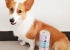 From New Zealand Grain-free Can - iti