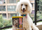 Newton Dog Food - Most Popular Two Main Food Review