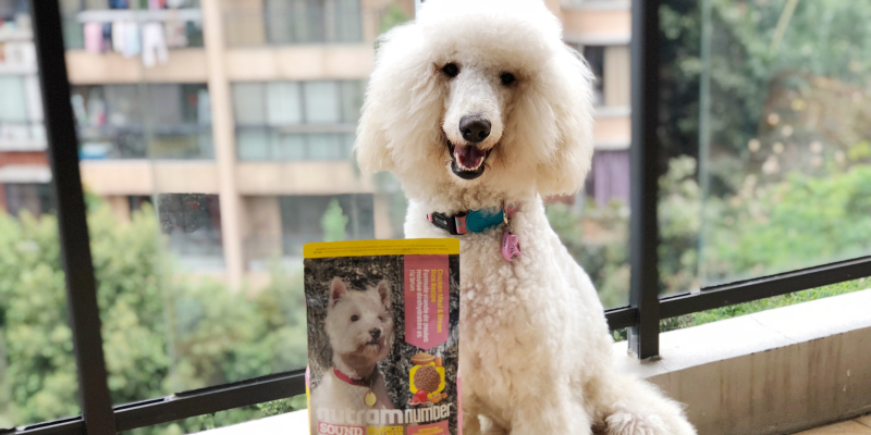 Newton Dog Food - Most Popular Two Main Food Review