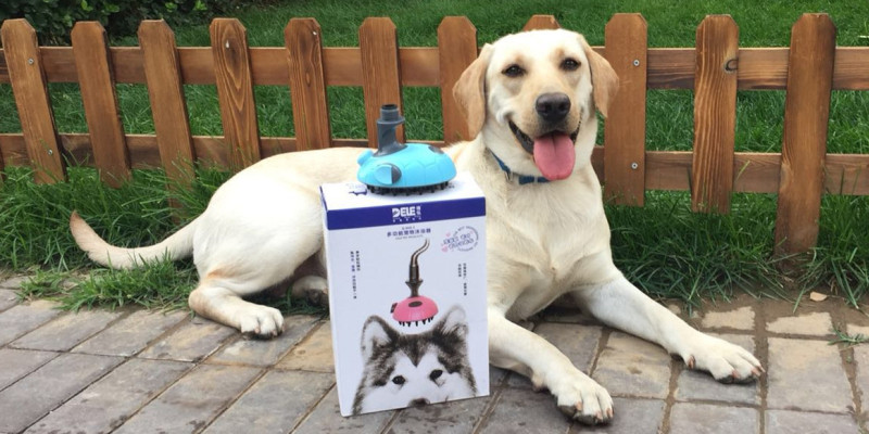Why?1=5 Bathing Essential - Dele Pet Showerhead! Pet Owners Look Here