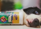 Premium Seaweed Powder - Did You Know It Beautifies Coat, Skin, and Even Brightens Noses?