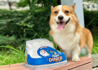 Petmate Rotating Slow-Feed Bowl: Move Your Hands and Chew Slowly, I Eat Dog Food on My Own Merit!