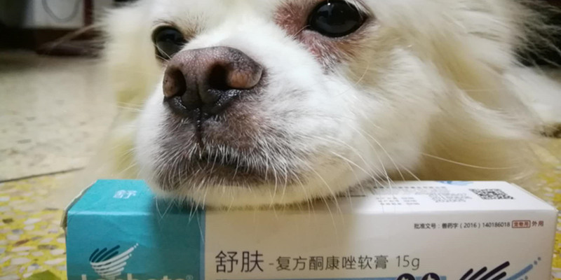 Miracle for Fungal Infections, Helping Poop Scoopers Solve Skin Disease Troubles