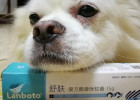Miracle for Fungal Infections, Helping Poop Scoopers Solve Skin Disease Troubles