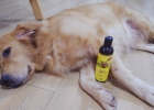 Organics Organic Olive Bath Liquid: Swim to Your Heart's Content, Bathe with Peace of Mind