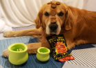 Goodbye Loneliness, West Paw Treat Toy + Jixin Meat Burger Biscuit