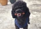 Fresh Breath Every Day