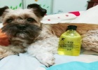 I Love Bathing Lots of Bubbles — Let Me See If Zhikou Shampoo Is Good!