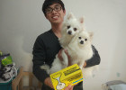 Snausags Puppy Probiotic Pet Formula Milk Powder