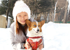 Corgi Baby Canine Distemper, Parvo and Coronavirus Cure Experience