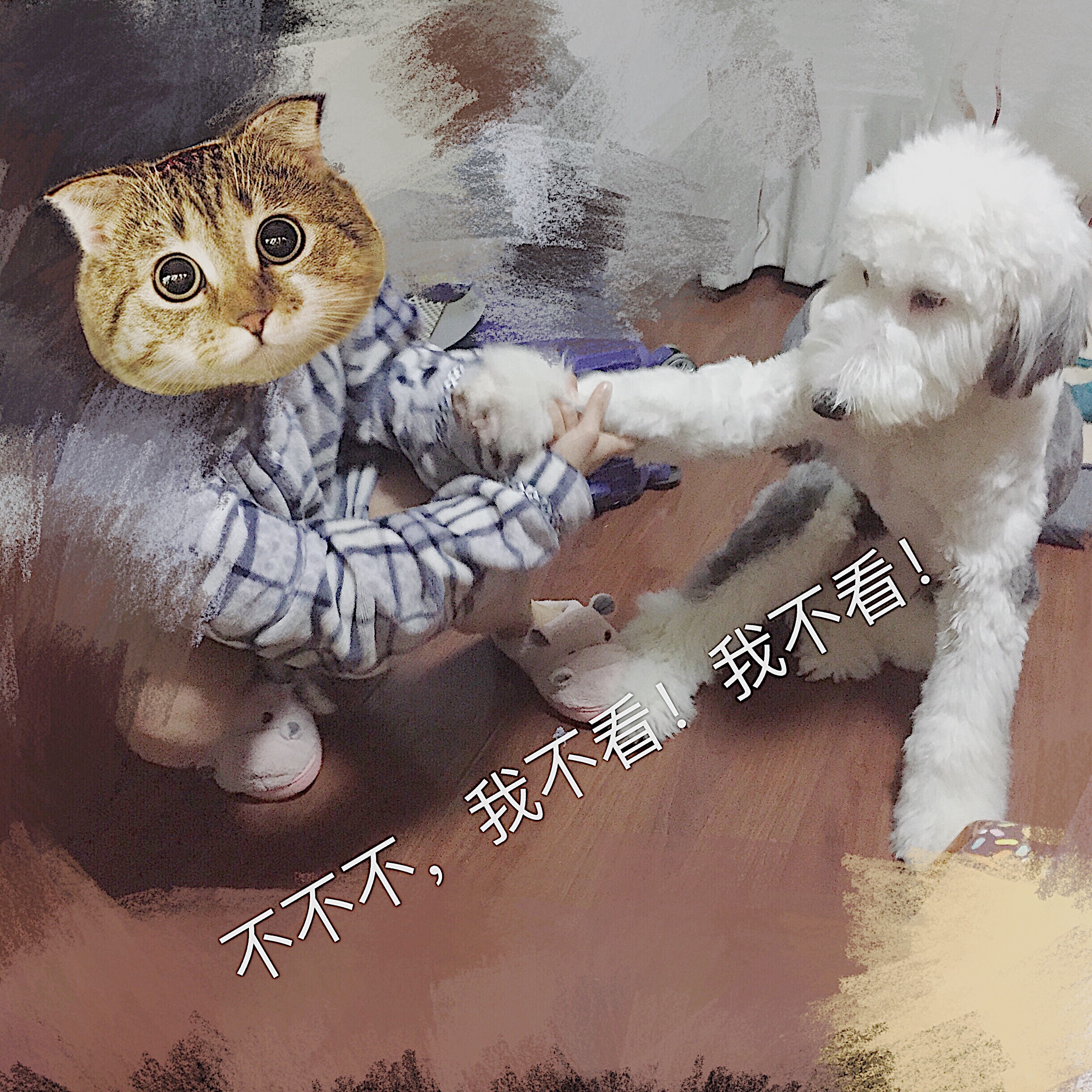 图片1