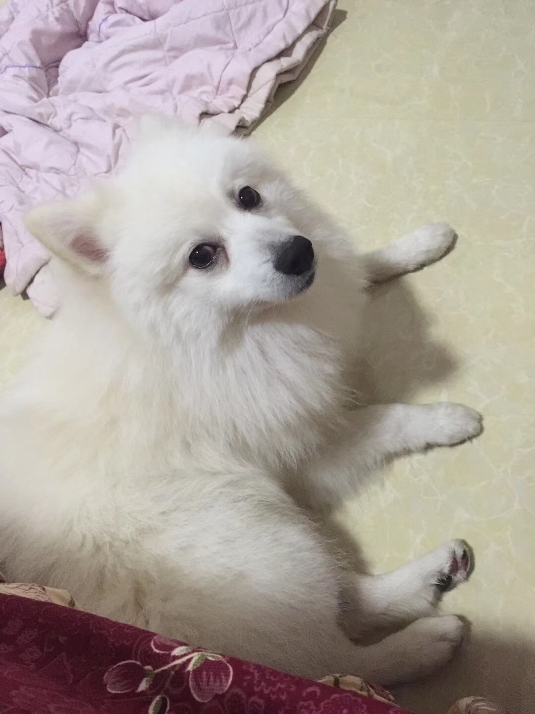 图片1