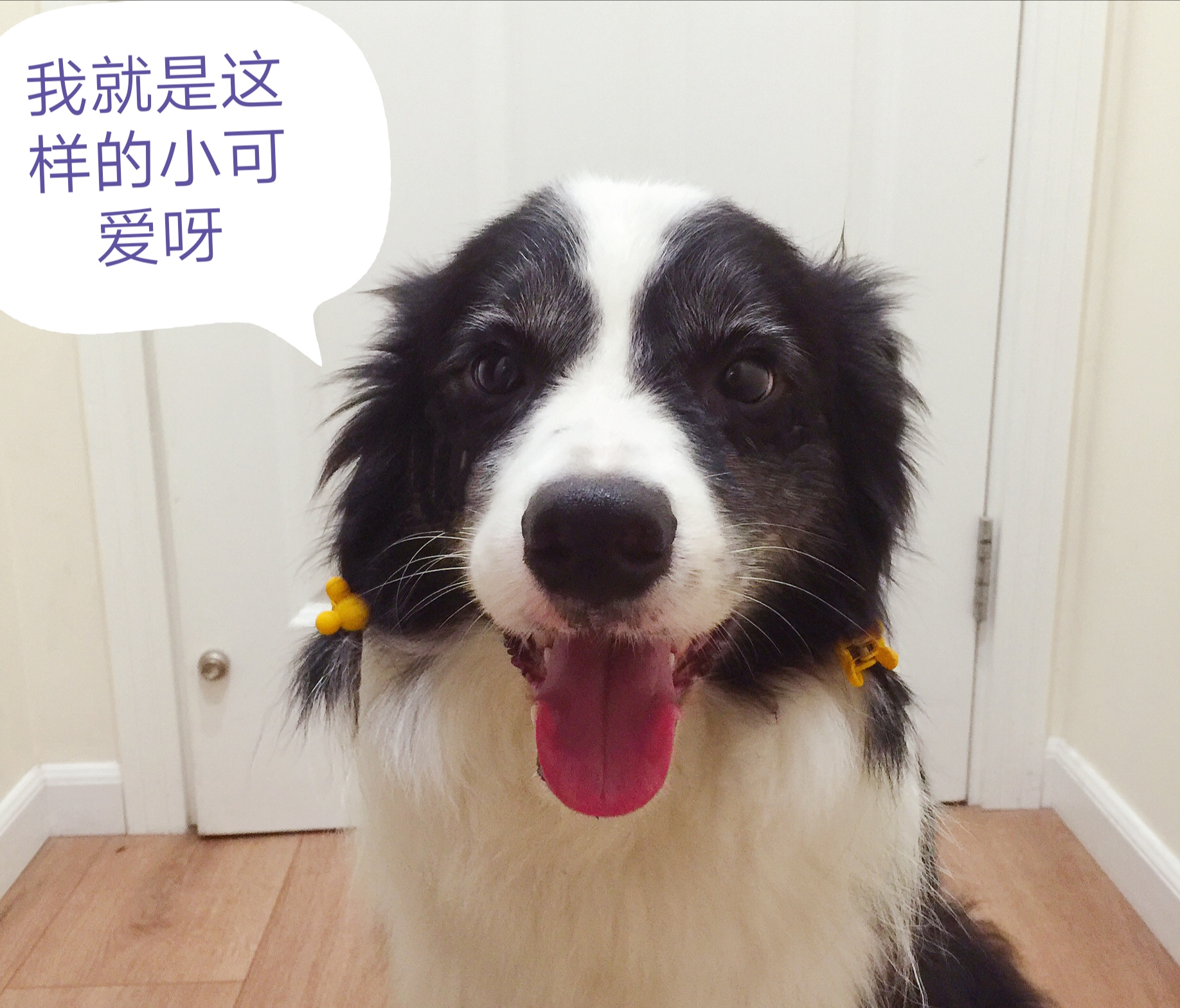 图片1
