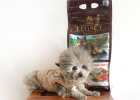 Legacy PetKind: Coarse Grind Dog Food More Nutritious