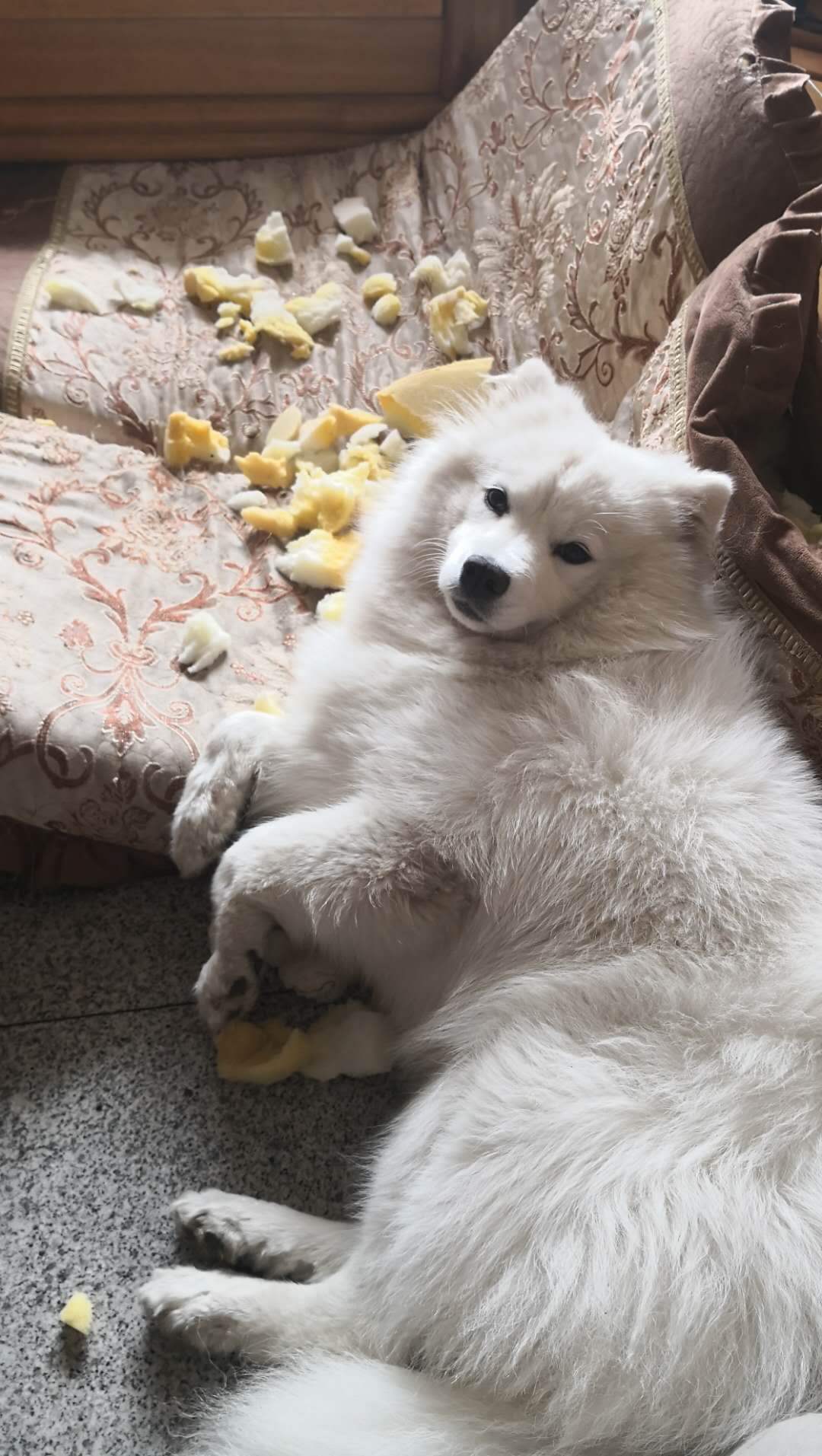 图片1