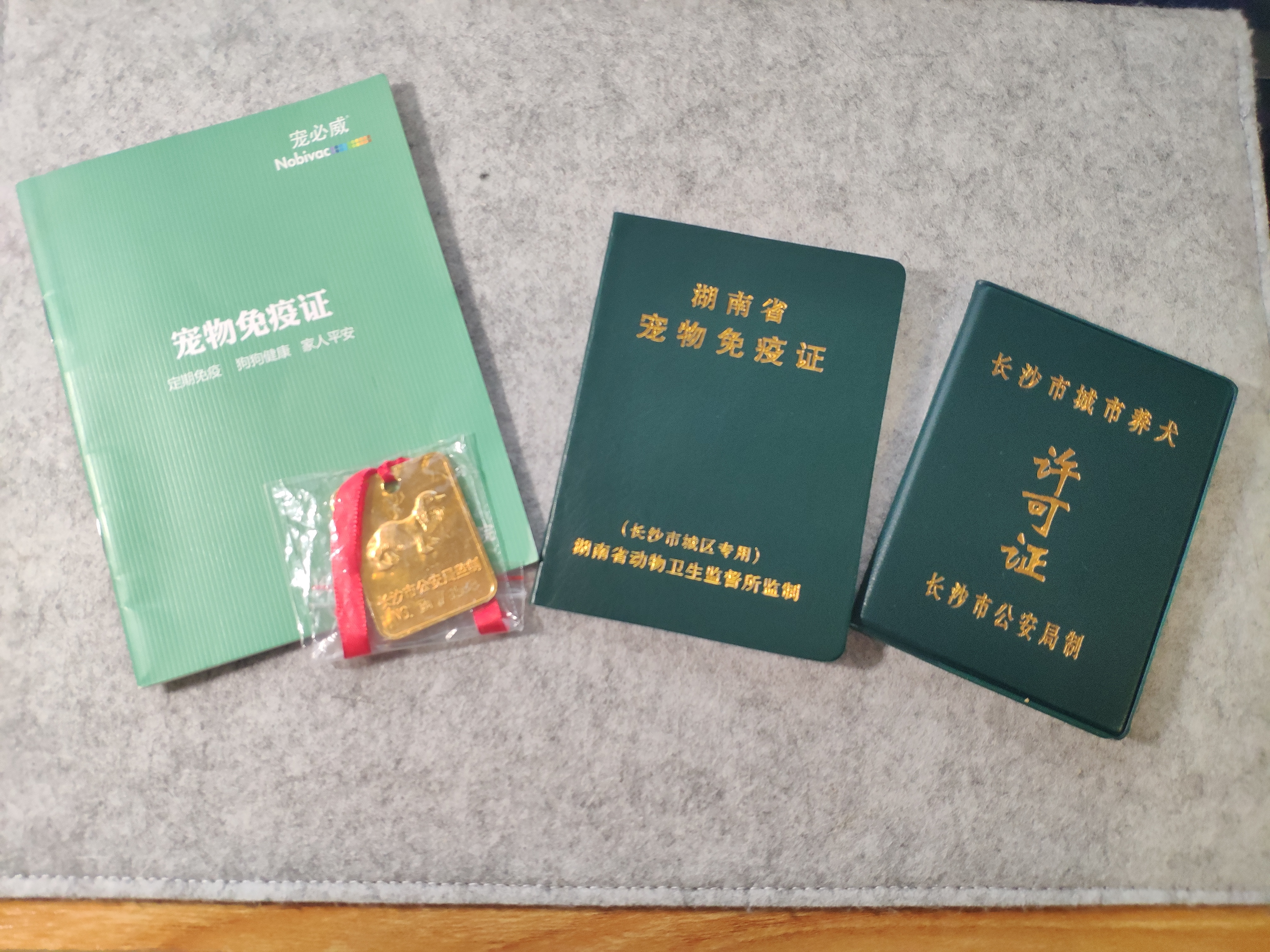 图片1