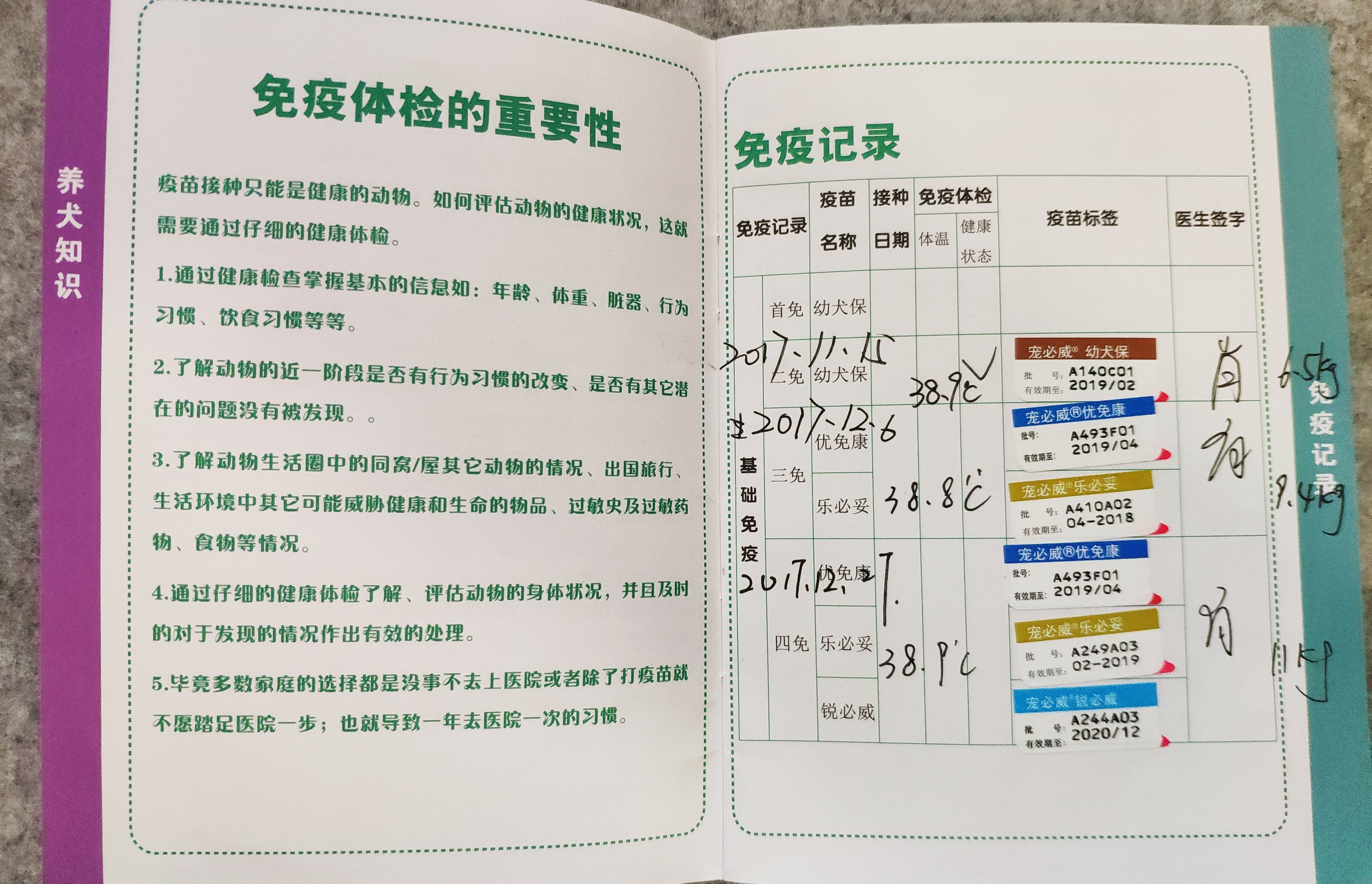 图片1