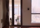 One Week is Short, Lifetime is Long - Sick Dog White Wolfs Growth Story
