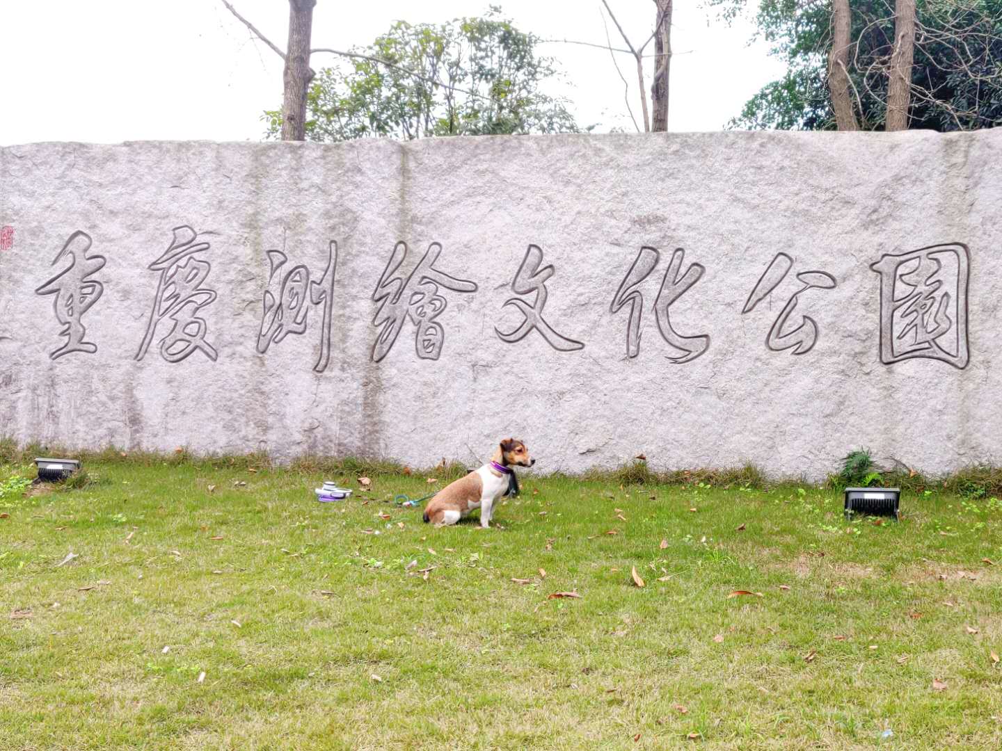图片1