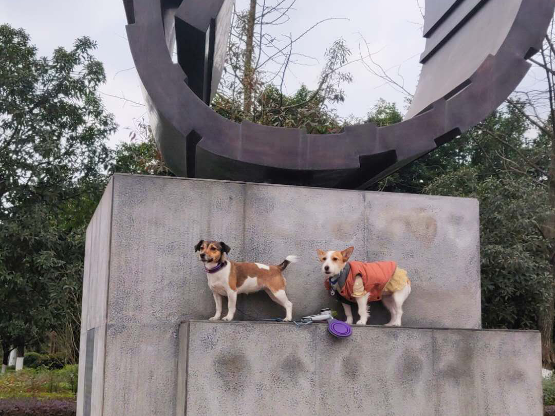 图片1