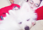 Dog Infected with Coronavirus and Cured, Experience Sharing