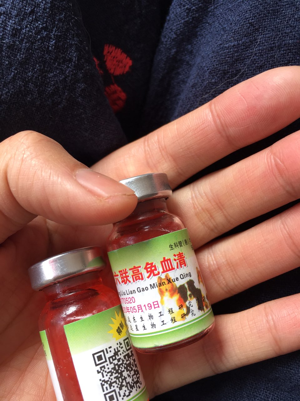 图片1
