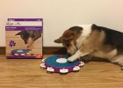A Toy That Can Test Dog IQ: My Dog's Opening Style Is Like This