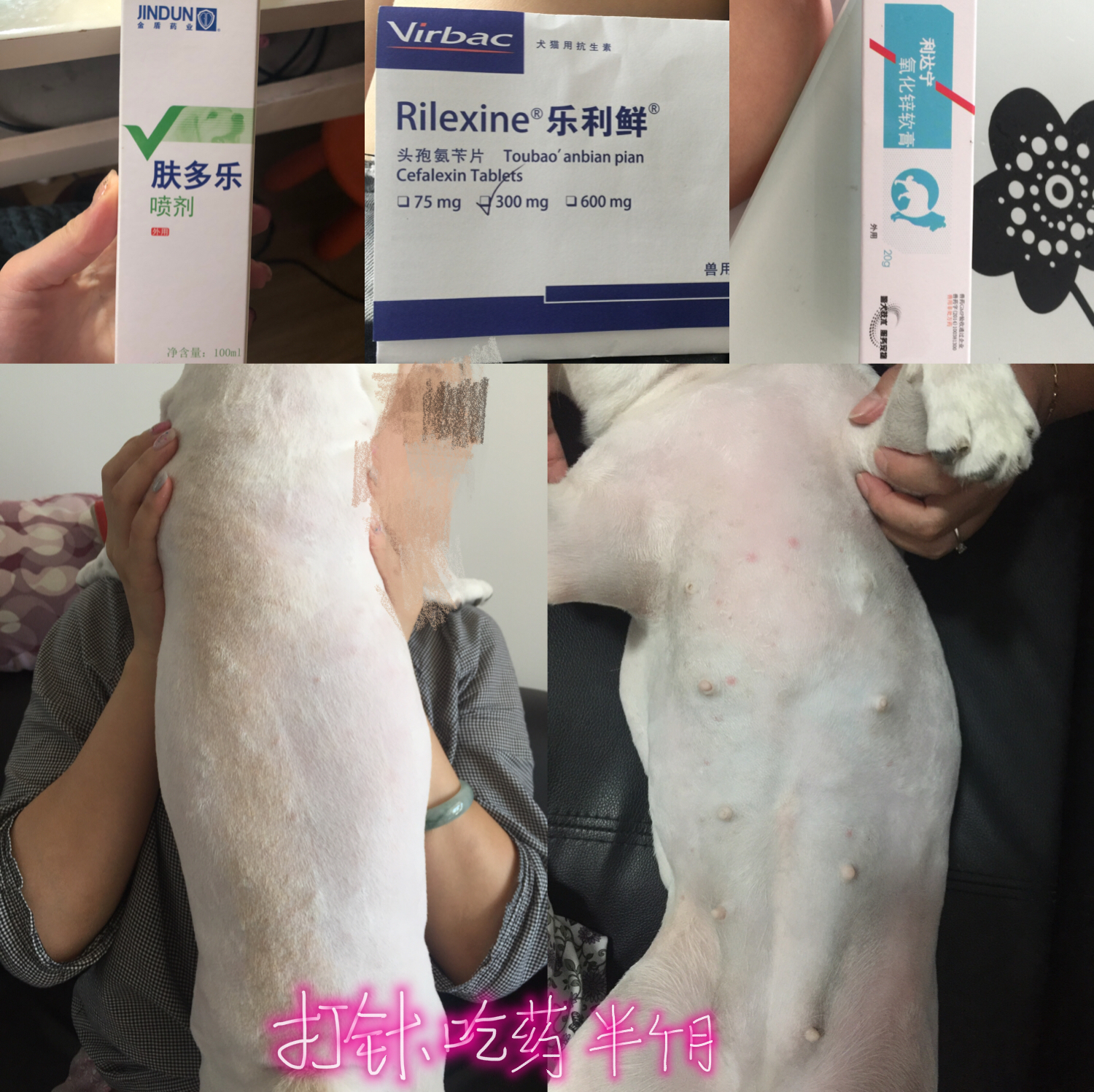 图片1