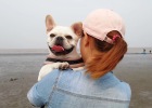 Most Complete Ever - French Bulldog Full Body Skin Disease Cure Experience Sharing