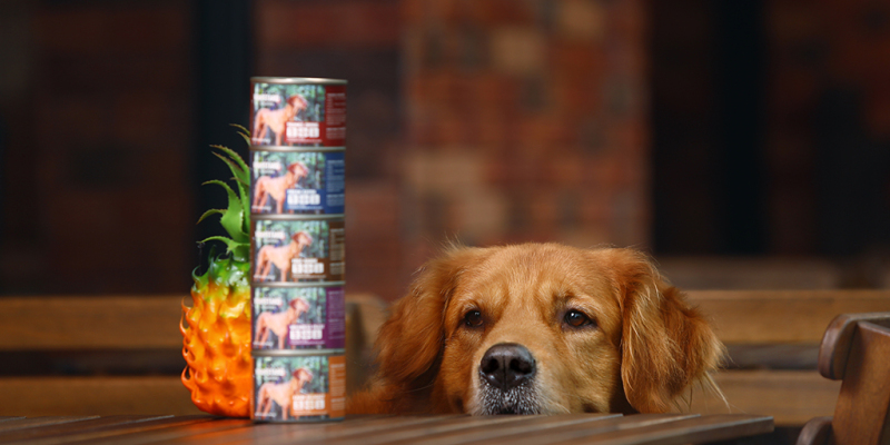 Different Body Types, Dog Food Selection Also Different