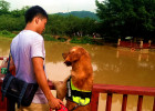 Vaccine - Dog and Owner Guarantee