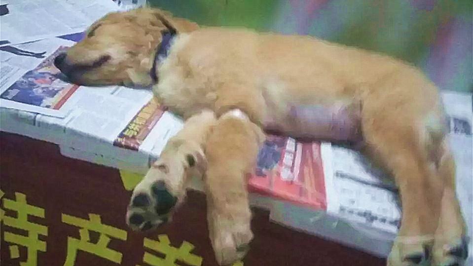 图片1