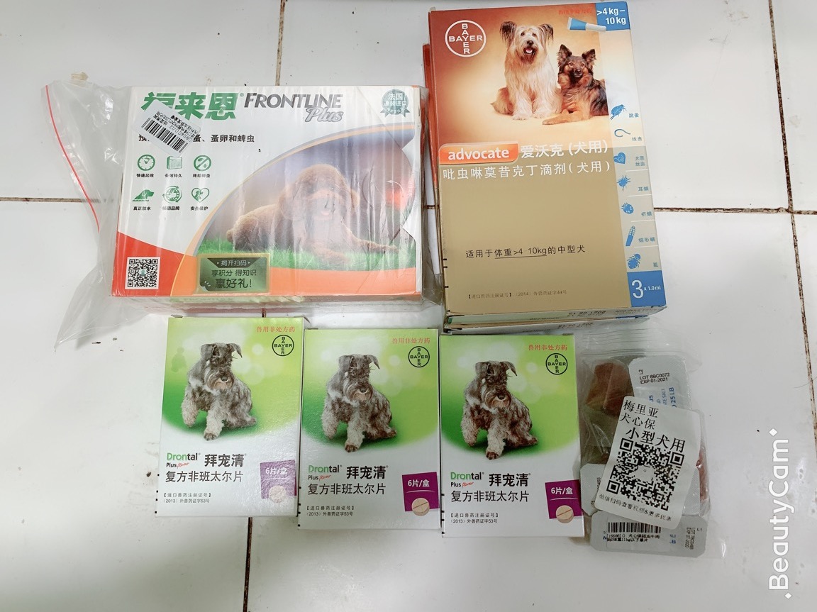 图片1