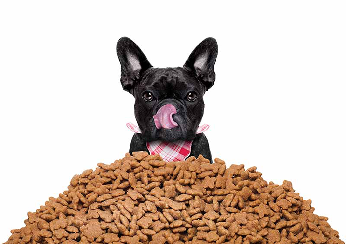How to Choose Dog Food Based on Age and Body Type?