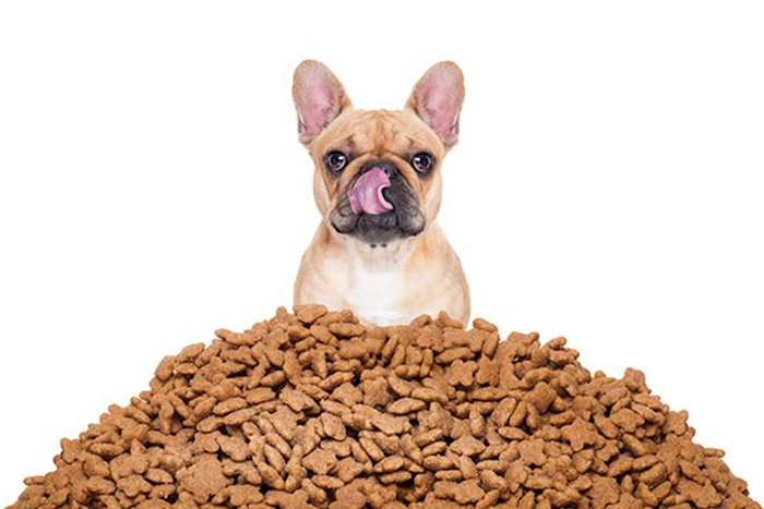 Choose Dog Food Just These Four Tricks, Did You Learn?