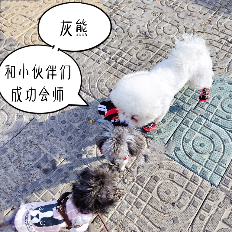 图片1